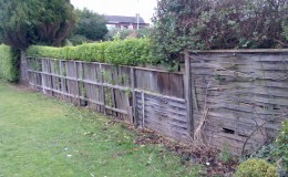 Fence Before
