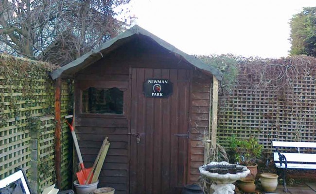 before-the-shed-repair2
